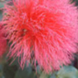 2/$25 SALE!! PLUS FREE GIFTS AVAILABLE